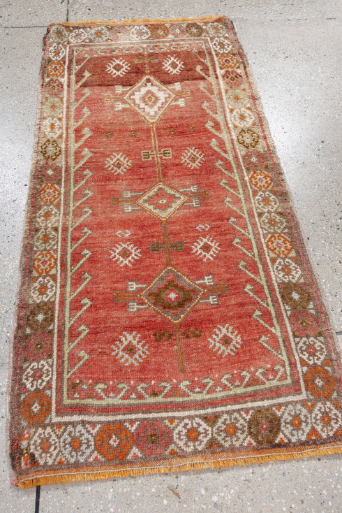 Antique Anatol Area Rug (2' x 3')